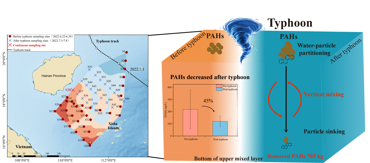 Typhoon Exhibits Significant 
