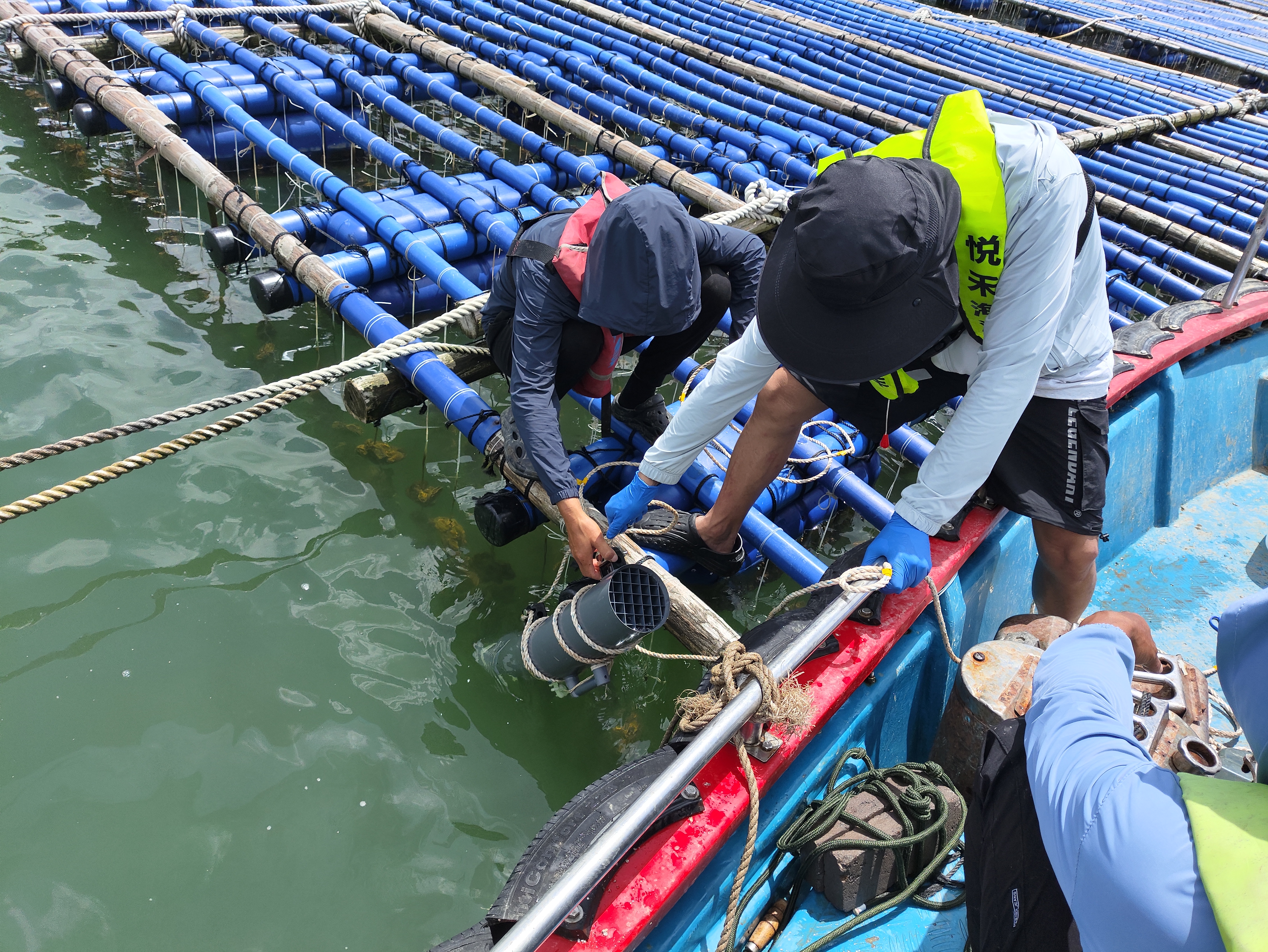 国内首个！南方海洋实验室近江牡蛎筏式养殖区生物沉降颗粒物碳埋藏碳汇项目落地